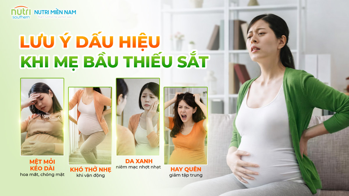 Các dấu hiệu của mẹ bầu thiếu sắt