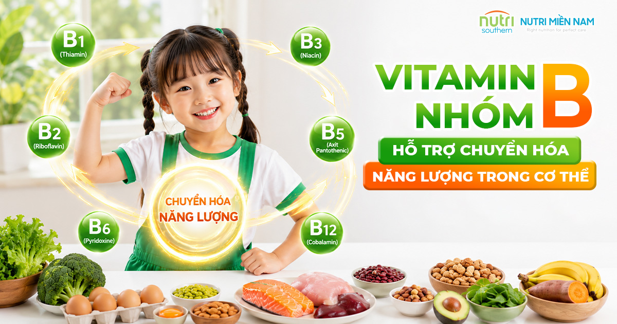 Vitamin nhóm B hỗ trợ chuyển hóa năng lượng và tham gia vào nhiều hoạt động sinh học của cơ thể.