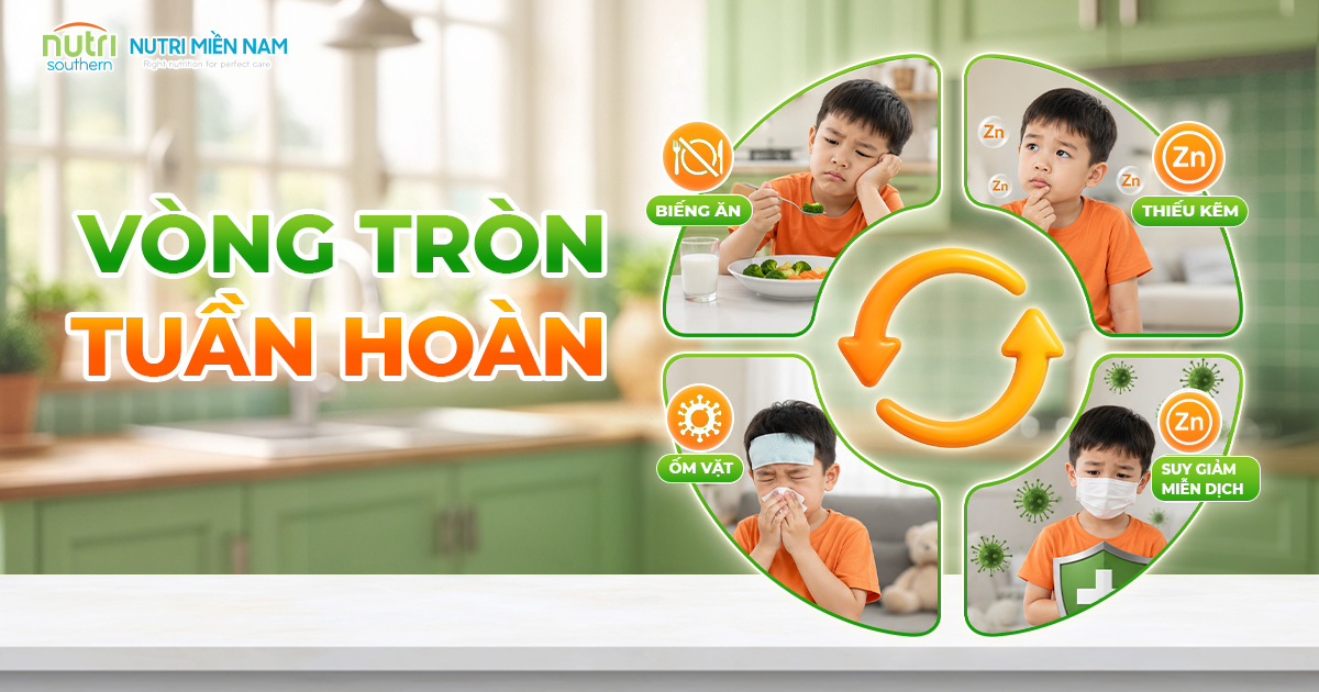 Vòng tròn tuần hoàn của biếng ăn, ốm vặt