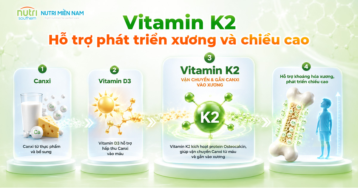 Vitamin K2 MK7 và MK4: Loại Nào Tốt Hỗ Trợ Tăng Chiều Cao Cho Trẻ