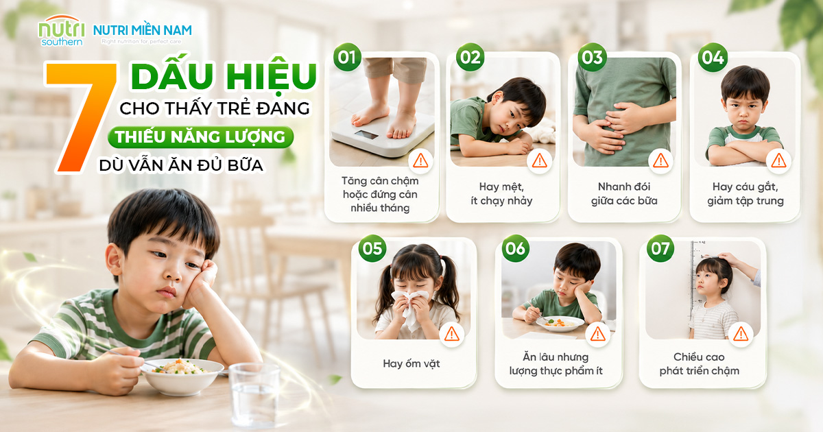 Làm Sao Biết Trẻ Đang Thiếu Năng Lượng Dù Vẫn Ăn Đủ Bữa?