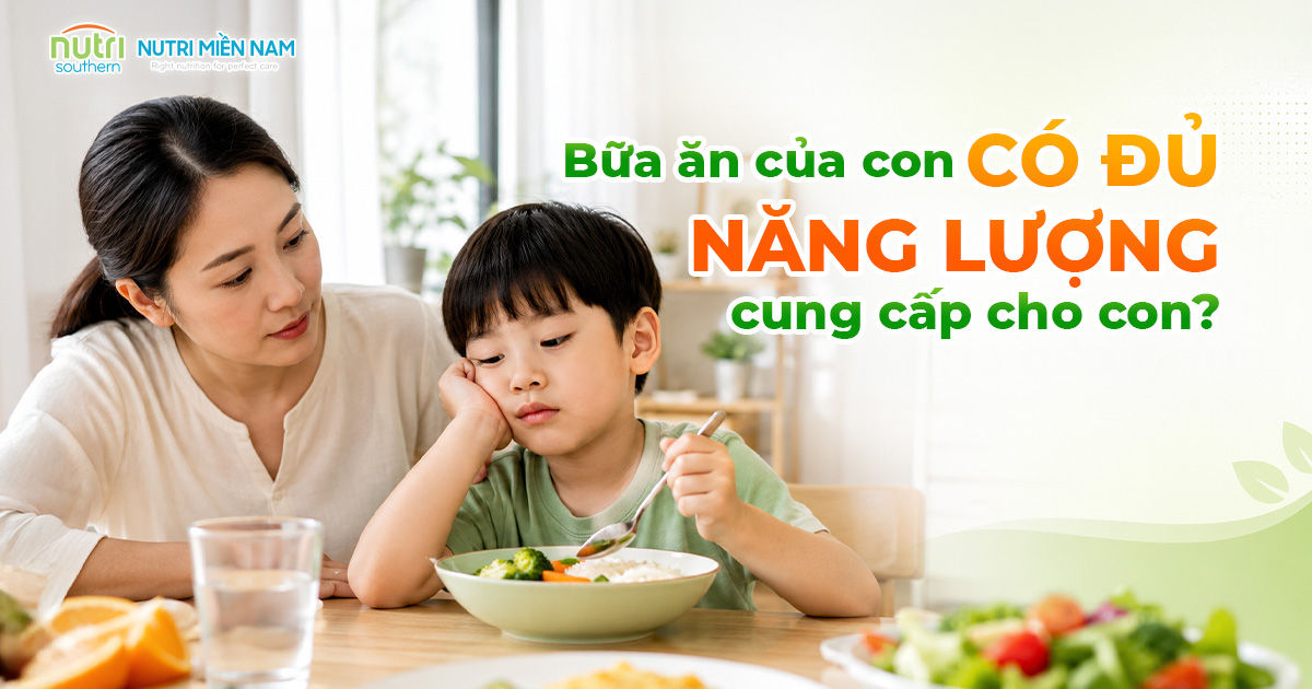 Một Bữa Ăn Của Trẻ Có Đủ Năng Lượng? 5 Dấu Hiệu Cha Mẹ Nên Biết