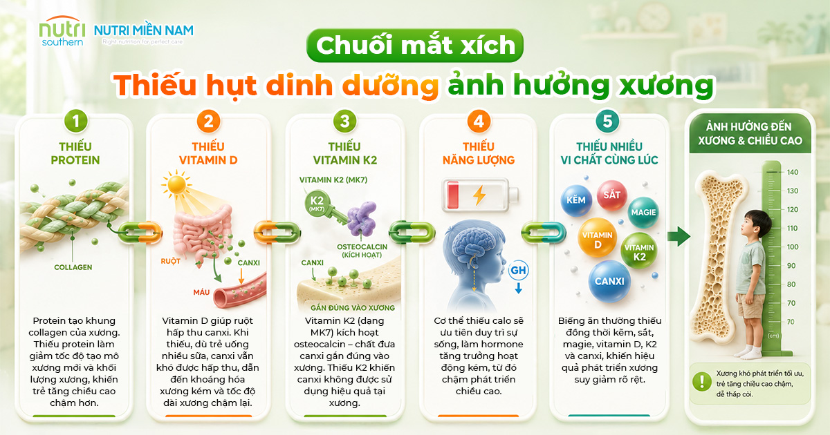 Trẻ Biếng Ăn Có Làm Chậm Trình Phát Triển Xương Không?