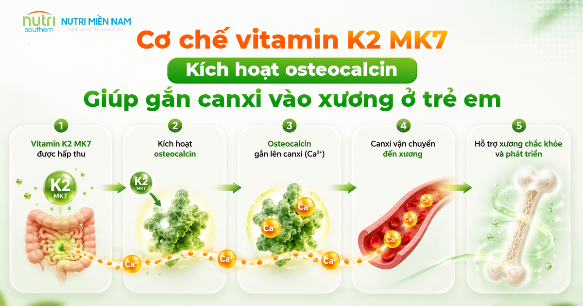 MenaQ7 Là Gì? Điều Cần Biết Khi Chọn Vitamin K2 MK7 Cho Trẻ