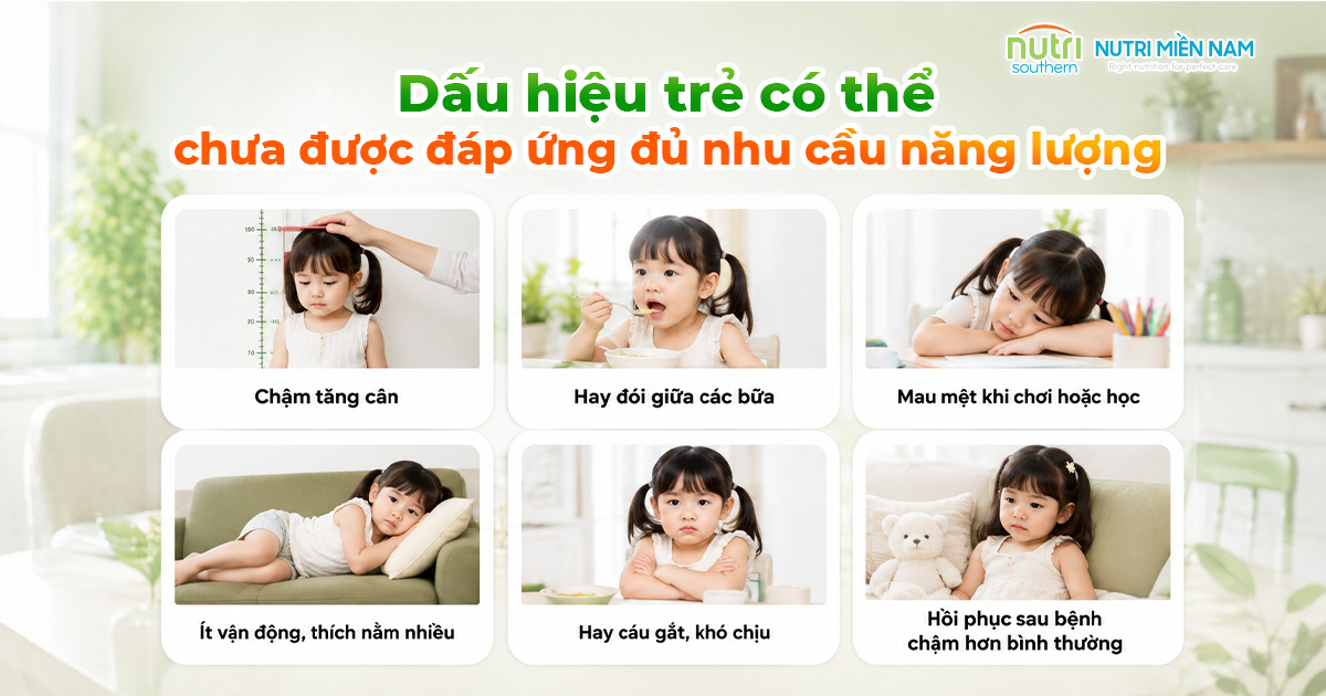 Cha Mẹ Thường Đánh Giá Sai Nhu Cầu Năng Lượng Của Con Như Thế Nào?