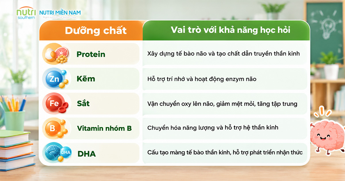 Trẻ Biếng Ăn Kéo Dài Có Làm Giảm Khả Năng Học Hỏi Và Tập Trung?
