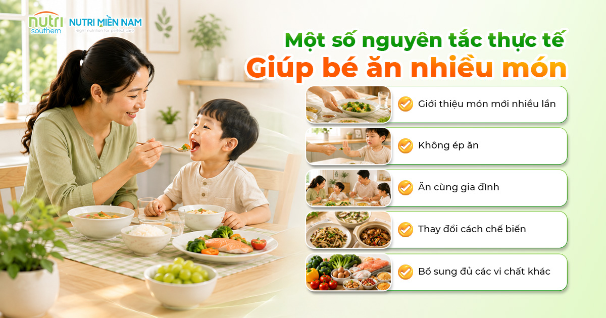 Kẽm Ăn Ngon Eurozinc Gold Có Giúp Trẻ Ăn Đa Dạng Thực Phẩm Hơn?