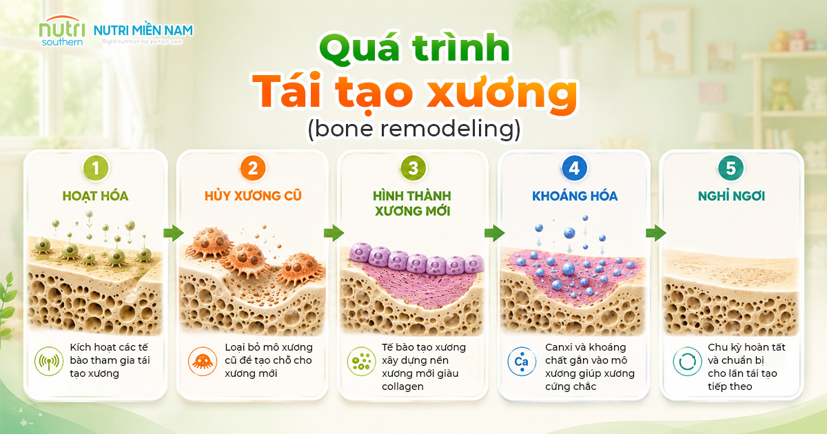 Trẻ Biếng Ăn Có Làm Chậm Trình Phát Triển Xương Không?