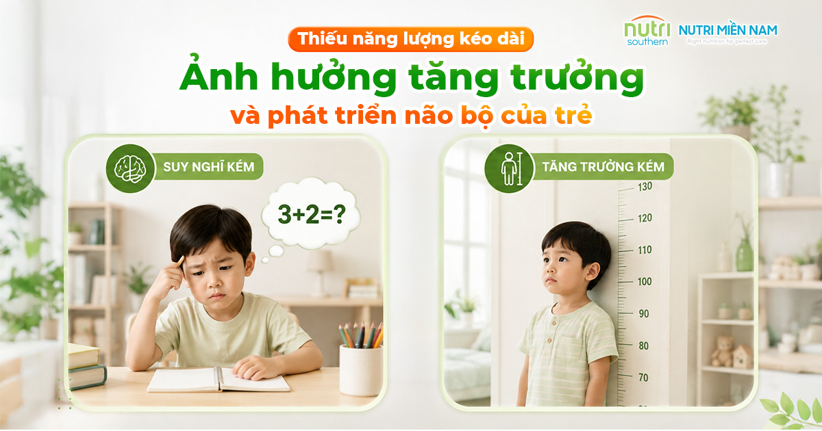 Cha Mẹ Thường Đánh Giá Sai Nhu Cầu Năng Lượng Của Con Như Thế Nào?