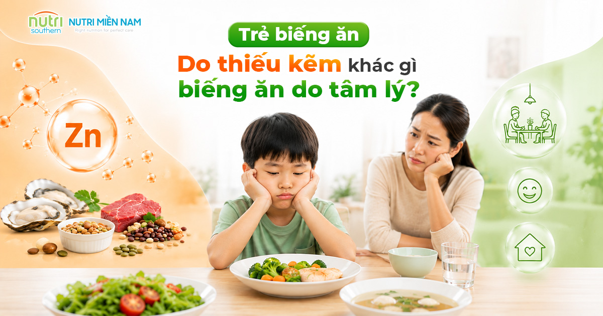 Trẻ Biếng Ăn Do Thiếu Kẽm Khác Gì Biếng Ăn Do Tâm Lý?