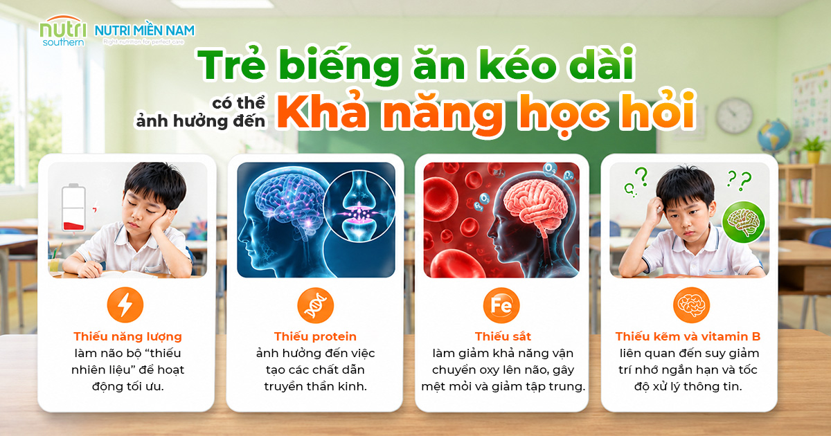 Trẻ Biếng Ăn Kéo Dài Có Làm Giảm Khả Năng Học Hỏi Và Tập Trung?