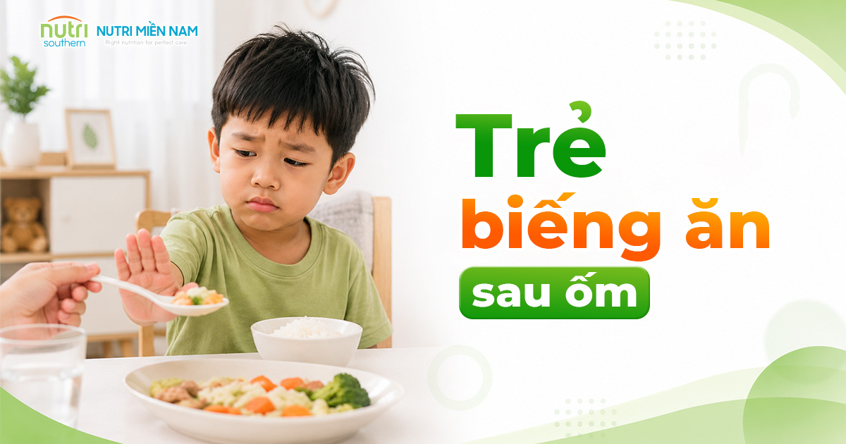 Vì Sao Cha Mẹ Càng Ép Ăn, Trẻ Biếng Ăn Càng Nặng?
