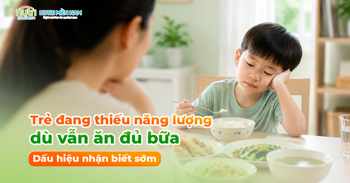 Làm Sao Biết Trẻ Đang Thiếu Năng Lượng Dù Vẫn Ăn Đủ Bữa?
