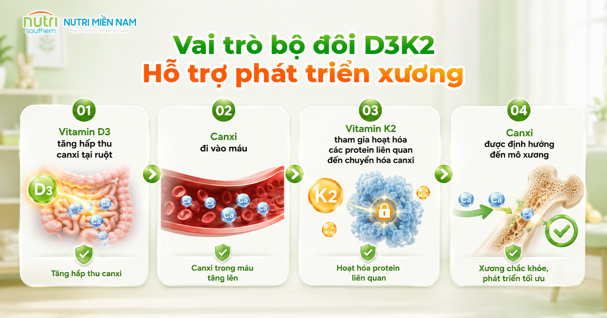 6 Tiêu Chí Chọn Vitamin D3K2 Cho Trẻ Cha Mẹ Cần Biết