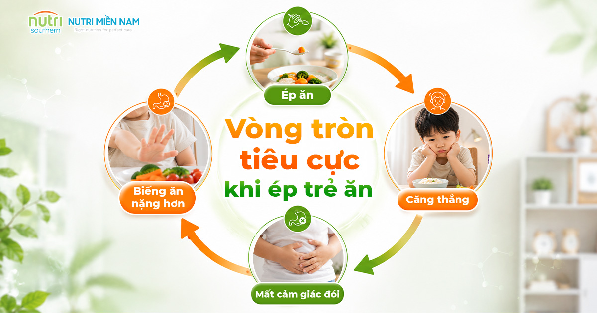 Vì Sao Cha Mẹ Càng Ép Ăn, Trẻ Biếng Ăn Càng Nặng?