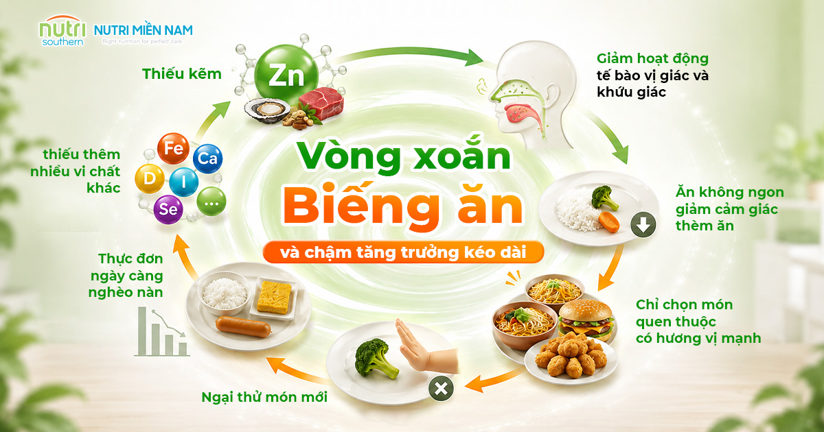 Kẽm Ăn Ngon Eurozinc Gold Có Giúp Trẻ Ăn Đa Dạng Thực Phẩm Hơn?