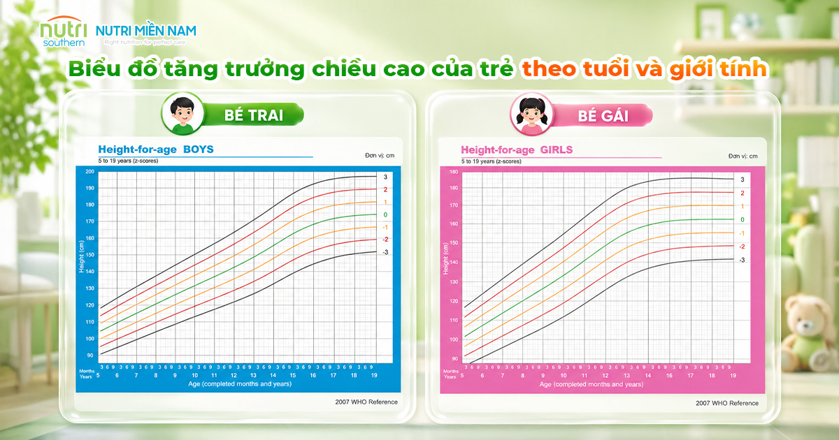 Theo Dõi Chiều Cao Của Trẻ Theo Tháng Hay Theo Năm? Cách Nhận Biết Tốc Độ Tăng Trưởng
