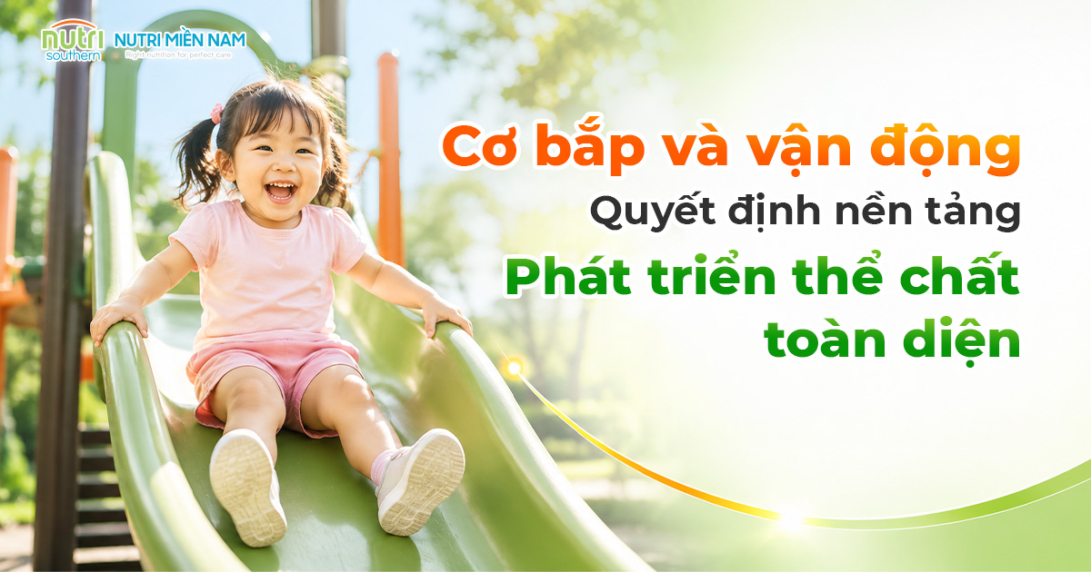 Vì Sao Giai Đoạn 1 – 3 Tuổi Quan Trọng Với Phát Triển Thể Chất Của Trẻ?