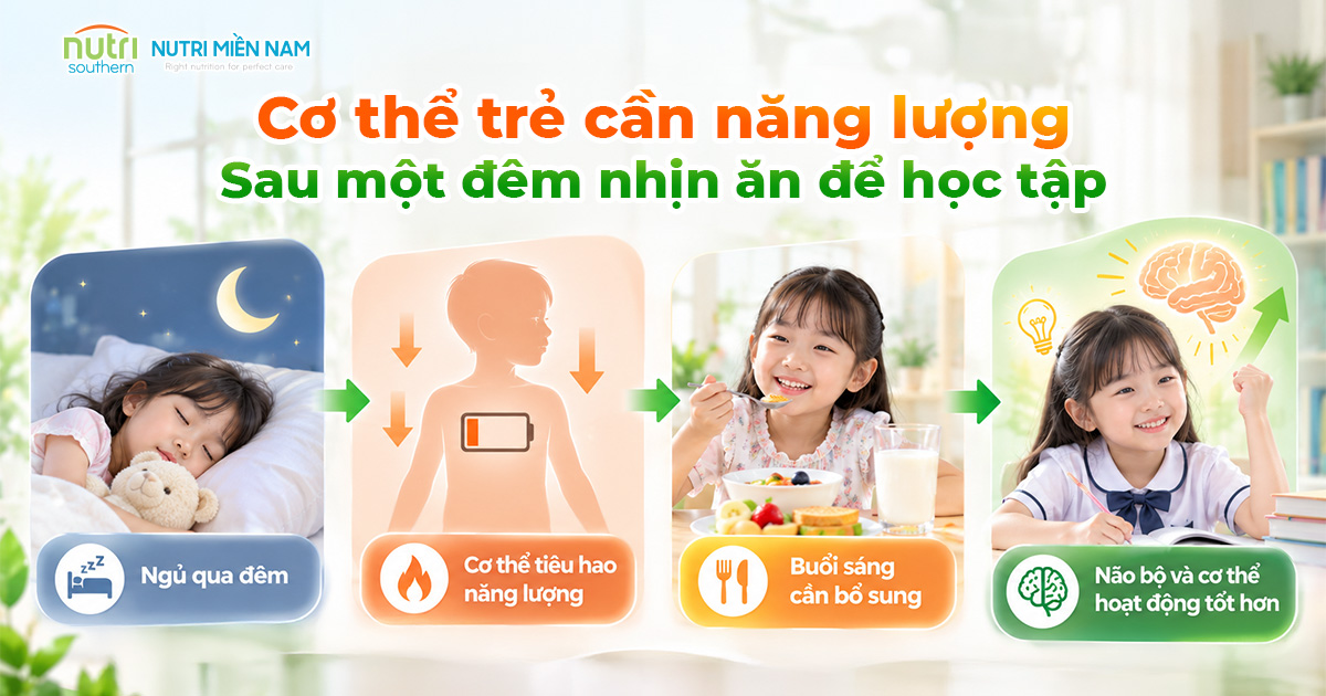 Trẻ Hay Bỏ Bữa Sáng Có Ảnh Hưởng Đến Khả Năng Học Tập?