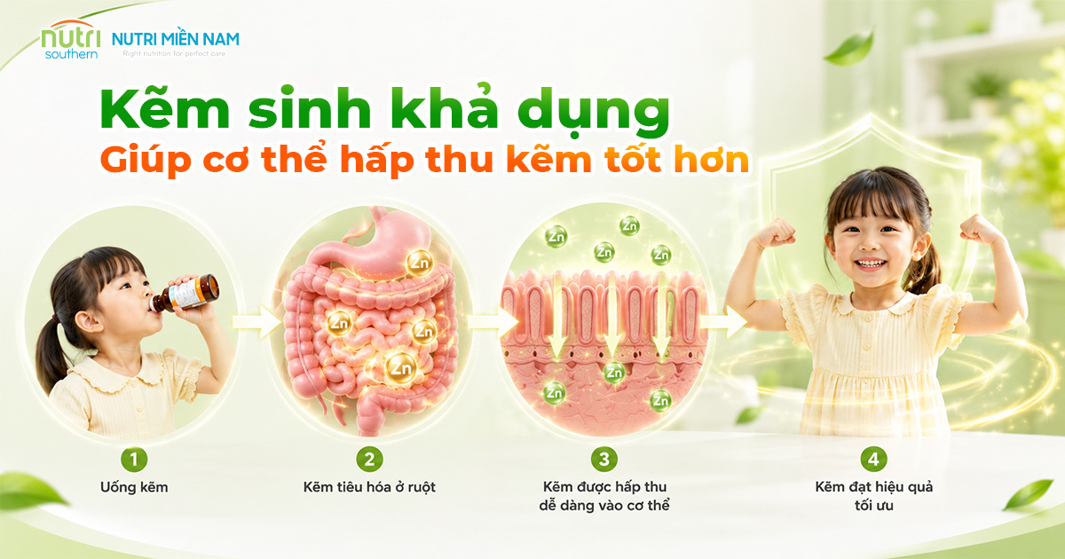 Kẽm Sinh Khả Dụng Là Gì? Cách Chọn Siro Kẽm Ăn Ngon Cho Trẻ