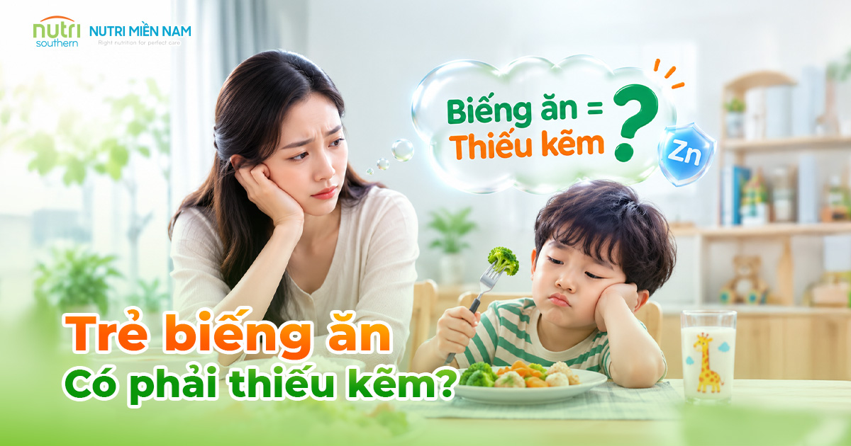 Trẻ Biếng Ăn Có Phải Thiếu Kẽm? 4 Câu Hỏi Trước Khi Bổ Sung Siro Kẽm Ăn Ngon