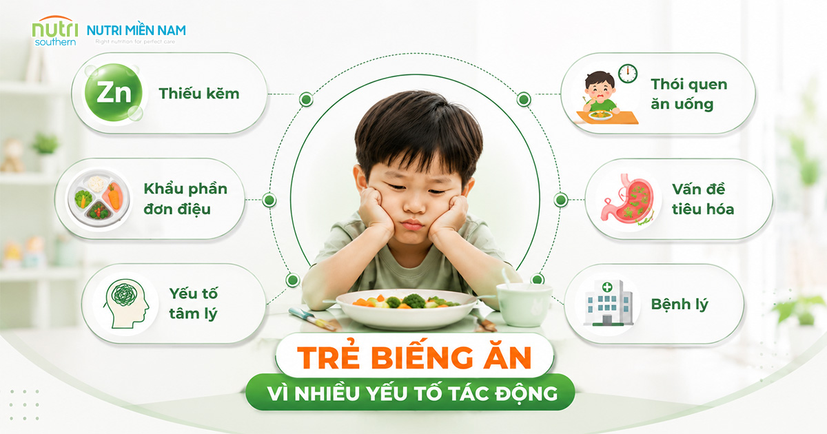 Trẻ Biếng Ăn Có Phải Thiếu Kẽm? 4 Câu Hỏi Trước Khi Bổ Sung Siro Kẽm Ăn Ngon