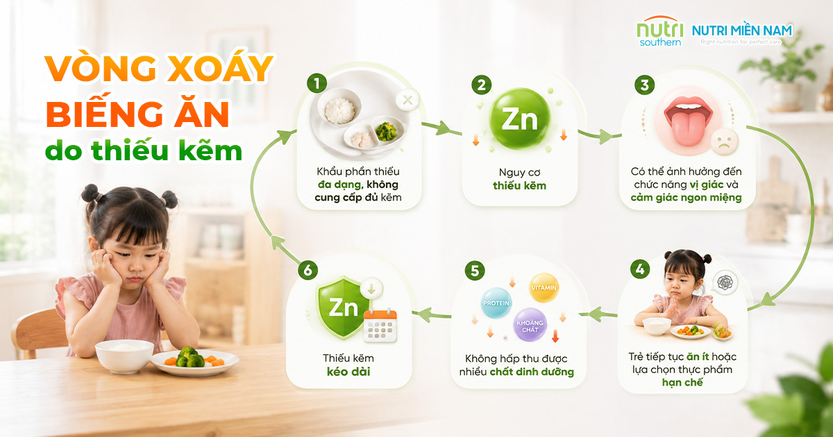 Trẻ Ăn Ít Đến Mức Nào Thì Đáng Lo? 5 Dấu Hiệu Cha Mẹ Nên Biết